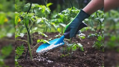 India secures fertilizer supplies despite West Asia crisis; record urea production boosts stocks ahead of kharif